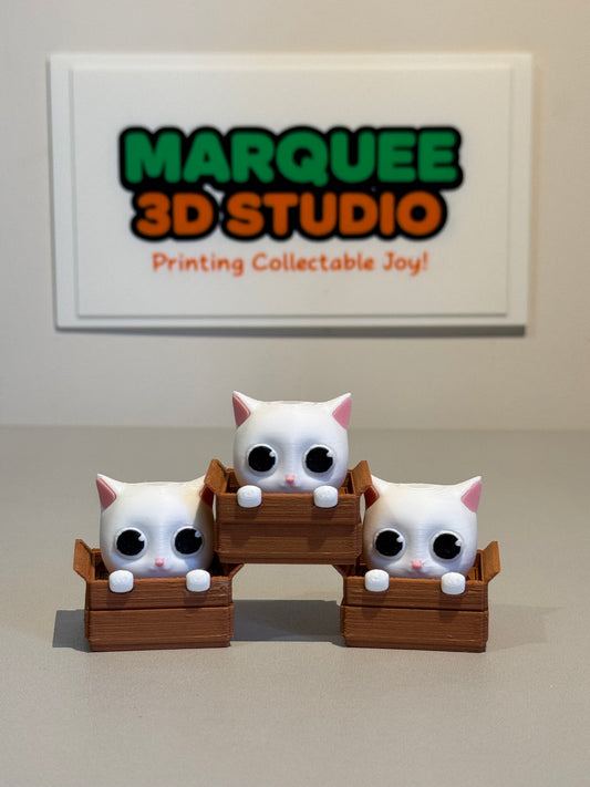 Hidding KITTY Fidget